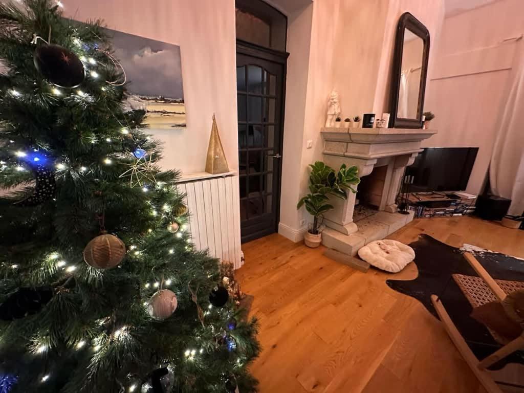 Clos Hily - Maison D'Exception A Dinard - 10 Pers Exteriör bild